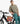 Eastpak Bottler Bike
