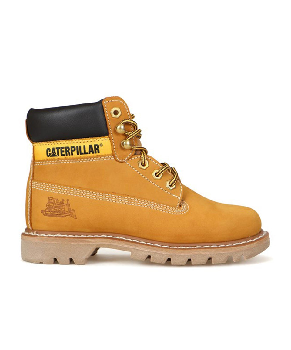 Cat Colorado - Görsel 2