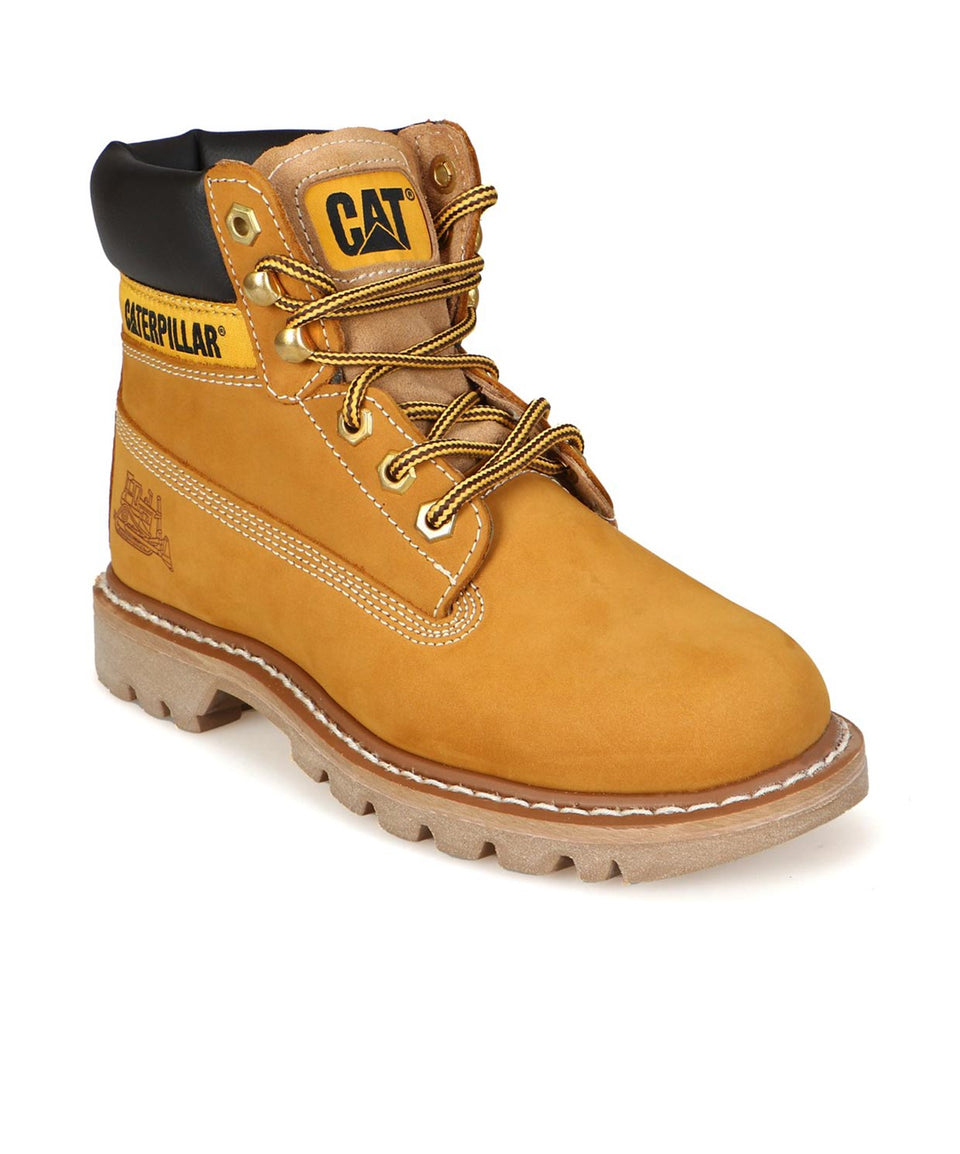 Cat Colorado - Görsel 4