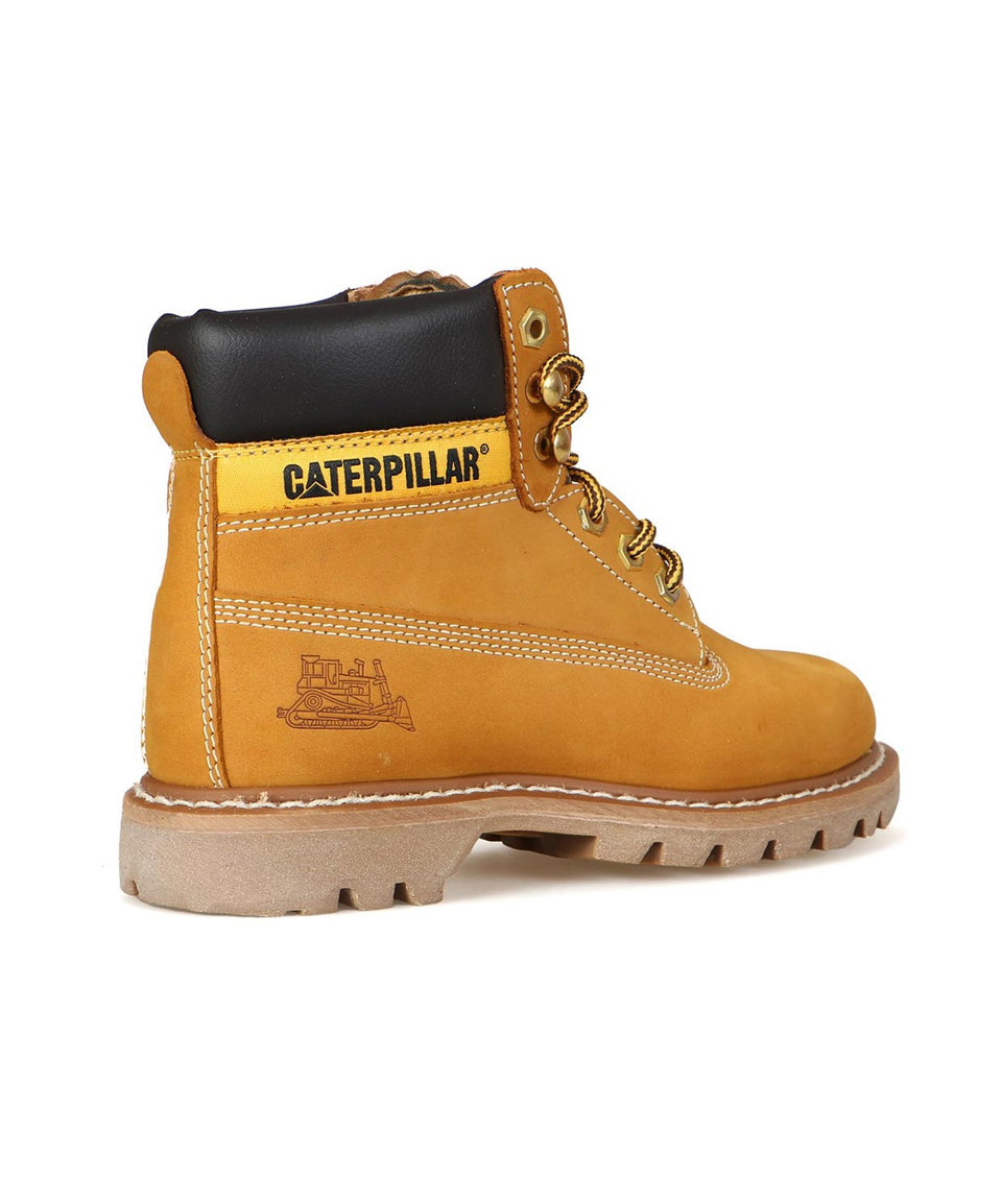 Cat Colorado - Görsel 5