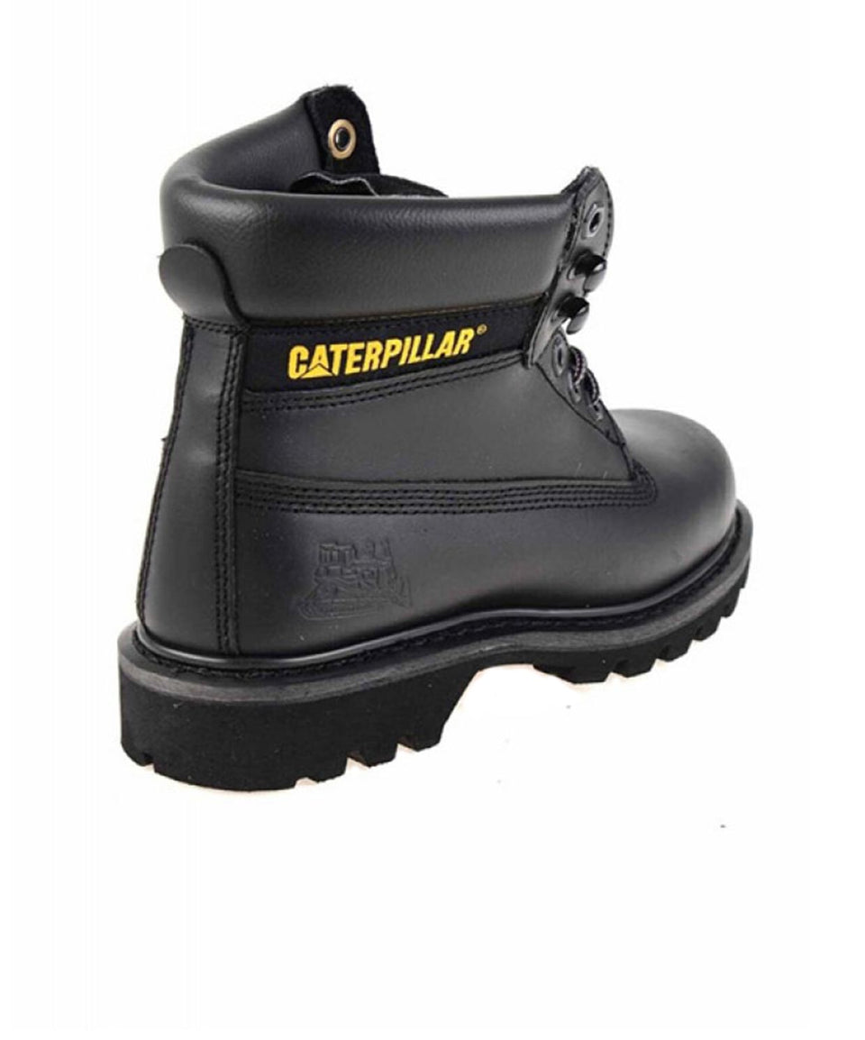 Cat Colorado - Görsel 4