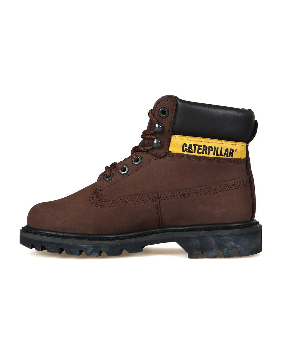 Cat Colorado - Görsel 3