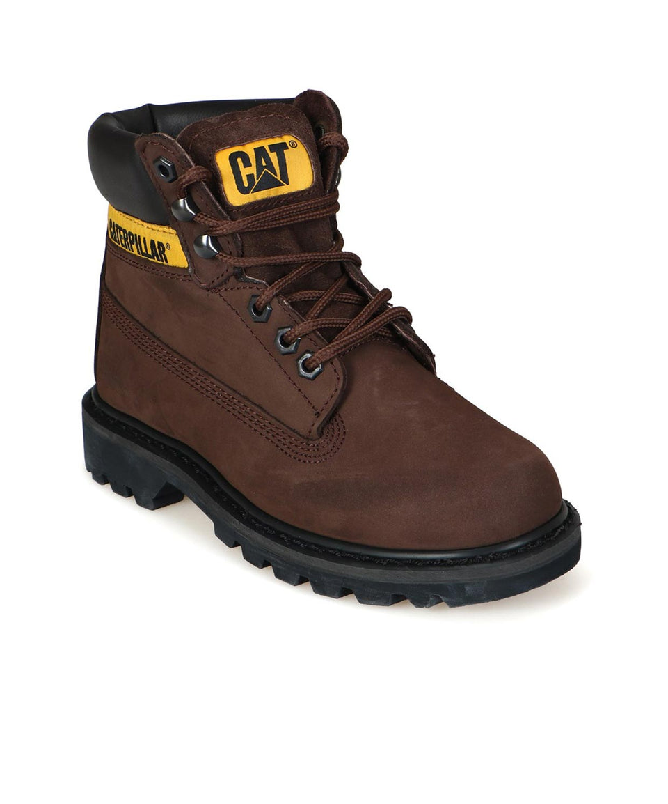 Cat Colorado - Görsel 4