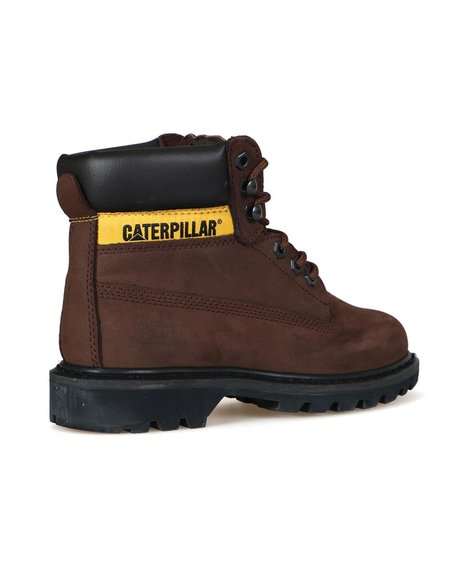 Cat Colorado - Görsel 5