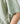 Champion Eco Future Crewneck T-Shirt