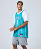 Nike Charlotte Hornets Icon Edition Dri-FIT NBA Swingman Jersey