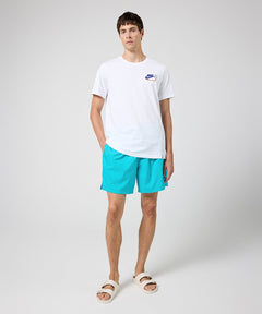 Nike Club Woven Shorts
