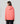 Champion Script Shop Hooded Sweatshirt
