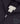 Champion Surplus + Utility Hooded Full Zip Sweatshirt