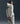 Nike Sportswear Tech Fleece Windrunner Full-Zip Hoodie
