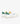 Lacoste Baseshot Pro