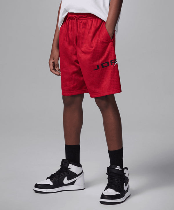 Jordan Baseline Mesh Shorts