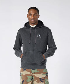 Champion Icons Plush Wash Hooded Sweatshirt