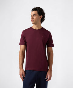 Champion Icons SS Tee