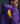 Nike Kobe Therma-FIT Pullover Hoodie