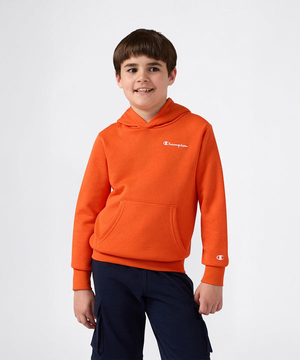 Champion Amazon Hoodie Sweatshirt
