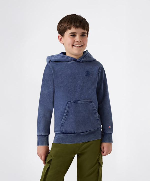 Champion Icons Wash Hooded Sweatshirt
