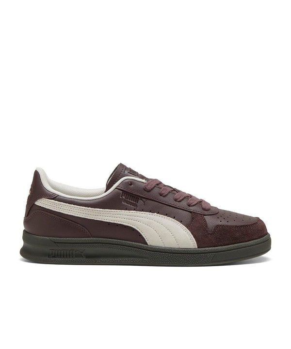 Puma Indoor