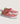 Vans Authentic
