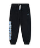 Jordan In The Paint Graphic Fleece Pants
