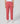 Champion Script Shop Elastic Cuff Pants